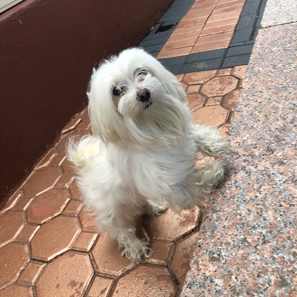 Meet your Posher, Lee - Picture 1 of 1